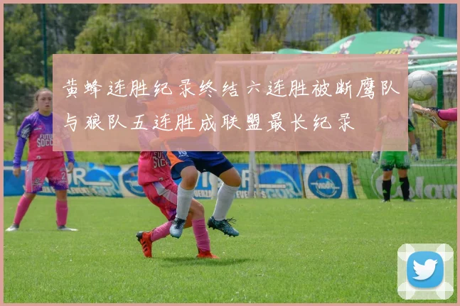 黄蜂连胜纪录终结六连胜被断鹰队与狼队五连胜成联盟最长纪录