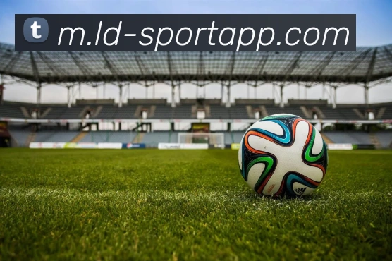 乐动足球平台生态图